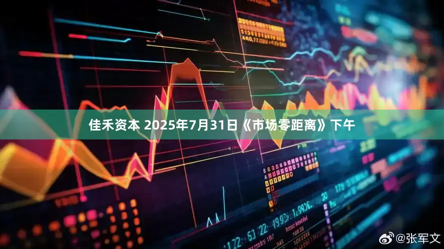 佳禾资本 2025年7月31日《市场零距离》下午